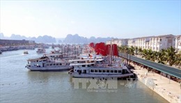 Quảng Ninh đề nghị đình chỉ kinh doanh 8 tàu du lịch trên vịnh Hạ Long 